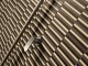 04_pbagno