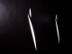 03lightshape